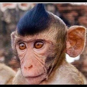 Meet your Posher, Alvaro